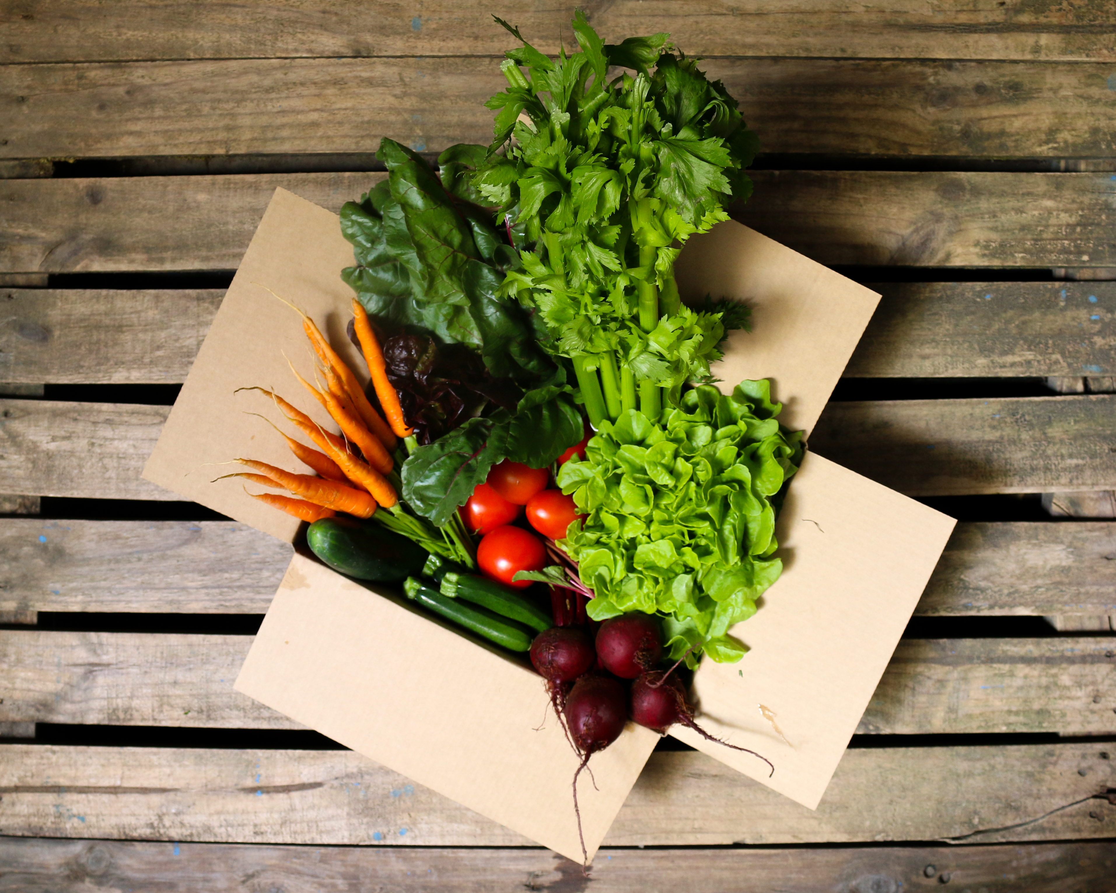 clevedon herbs and produce