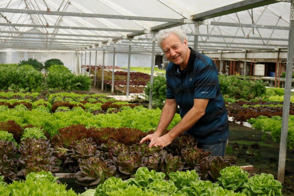 clevedon herbs and produce