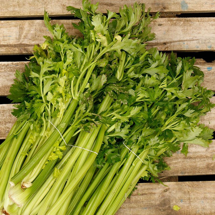 Celery Box, 11 bunches