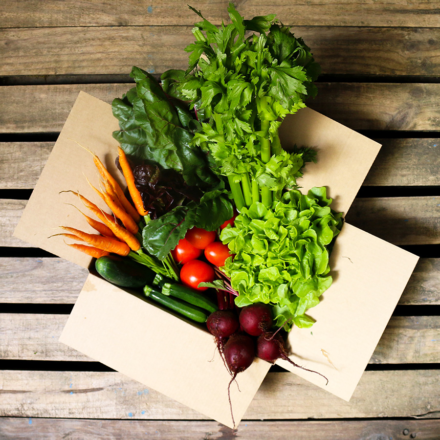 Small Seasonal Produce Box